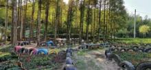 莫干山风景名胜区10