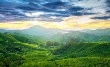 莫干山风景名胜区5