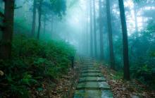 莫干山风景名胜区23