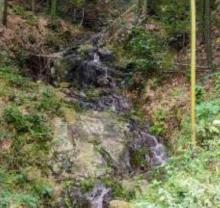 莫干山风景名胜区16