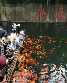千岛湖东南湖区18
