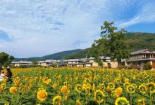 拈花湾景区-无门关9