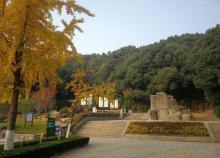 鹅鼻嘴公园12