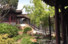 燕园29