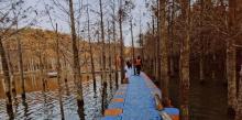 青龙湾生态旅游区25