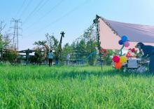 南通森林野生动物园 森迪野营基地6