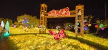 九龙湾花星球18