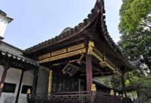 真趣园5