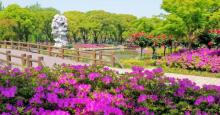 三国水浒景区(中央电视台无锡影视基地)7