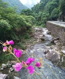 花岩国家森林公园7