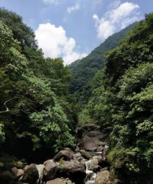 花岩国家森林公园16