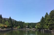 玉苍山森林公园13