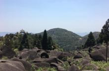 玉苍山森林公园12