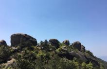 玉苍山森林公园14