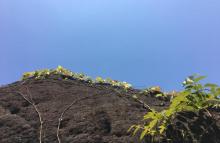 玉苍山森林公园11