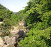 瑶溪风景名胜区5
