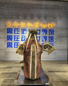 生命奥秘博物馆10