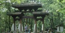 富春桃源13