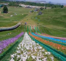 衢州飞鸿滑草场4