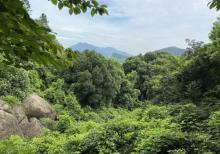 天池山29