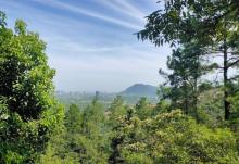 天池山26
