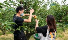 南通奇妙农场14