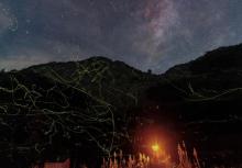 千岛湖酉坞里萤火虫主题公园6