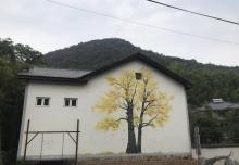莫干山庾村景区12