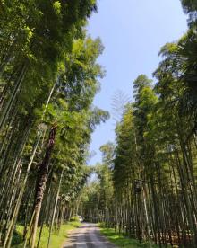 黄公望隐居地19