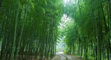 黄公望隐居地2