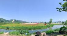径山花海6