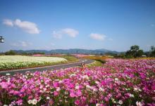 径山花海5