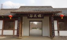 樱花谷27