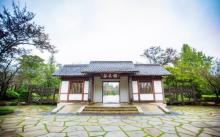 樱花谷8