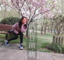 樱花谷9