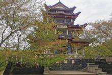 樱花谷12