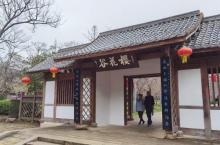 樱花谷25