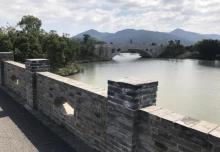 三湿地8