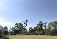 三湿地7
