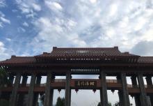三湿地6