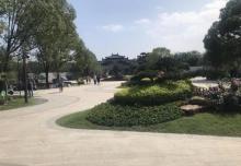 三湿地11