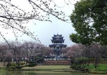 太湖鼋头渚风景区-赏樱楼2