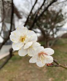 李公堤23