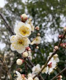 李公堤21