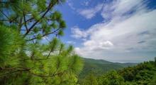 太湖西山国家森林公园缥缈峰景区21