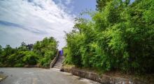 太湖西山国家森林公园缥缈峰景区19