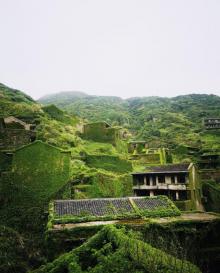 后头湾村21