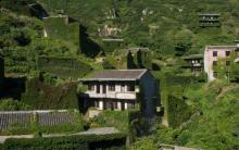 后头湾村1