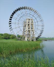 苏州太湖湖滨国家湿地公园6
