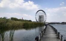 苏州太湖湖滨国家湿地公园21
